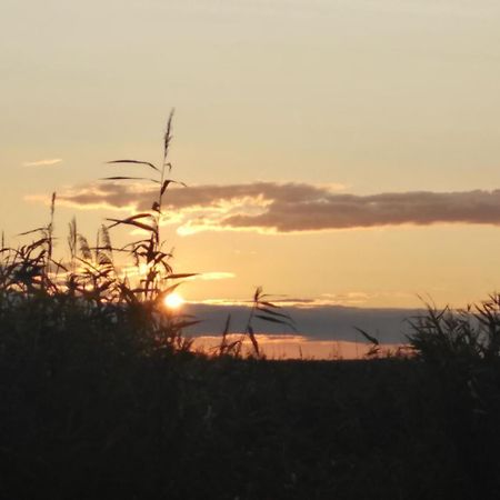 Pfahlbau Rust/Neusiedlersee Sunset I Villa Kültér fotó