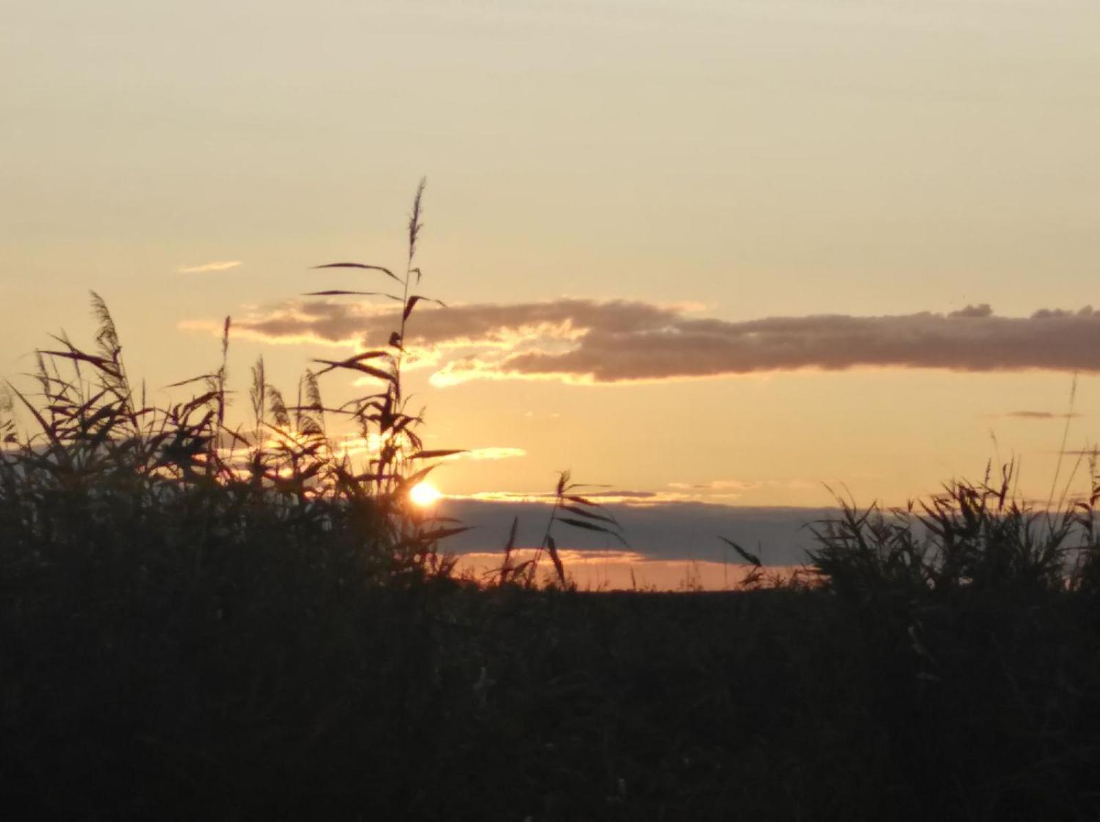 Pfahlbau Rust/Neusiedlersee Sunset I Villa Kültér fotó