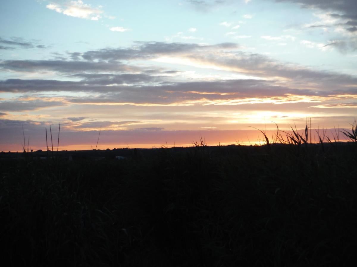 Pfahlbau Rust/Neusiedlersee Sunset I Villa Kültér fotó