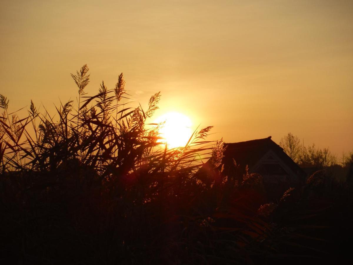 Pfahlbau Rust/Neusiedlersee Sunset I Villa Kültér fotó