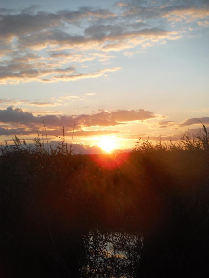 Pfahlbau Rust/Neusiedlersee Sunset I Villa Kültér fotó