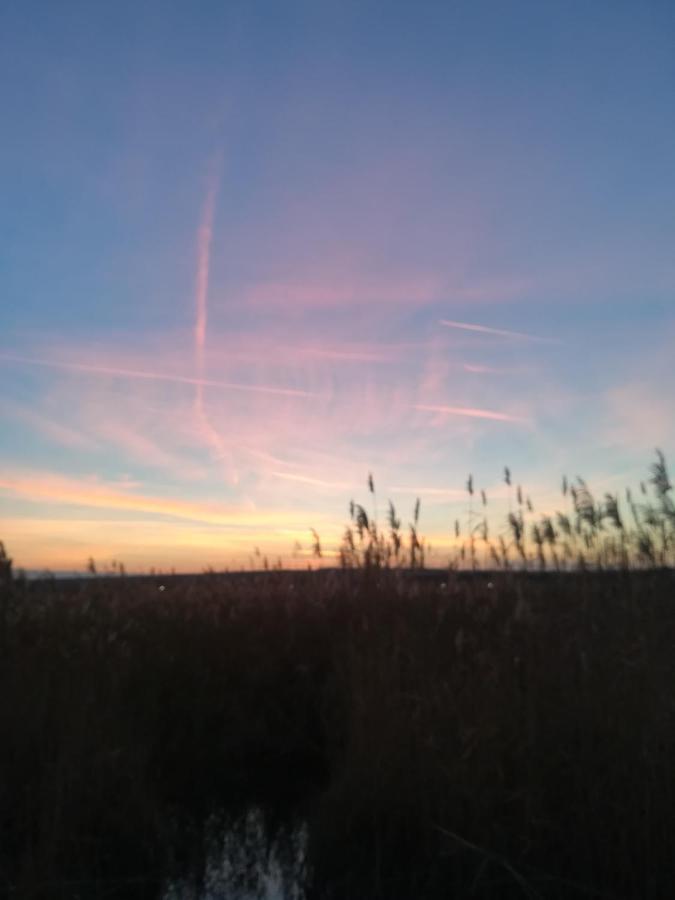 Pfahlbau Rust/Neusiedlersee Sunset I Villa Kültér fotó