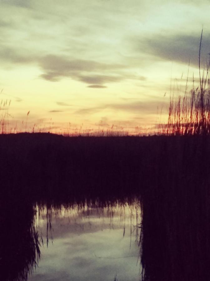 Pfahlbau Rust/Neusiedlersee Sunset I Villa Kültér fotó