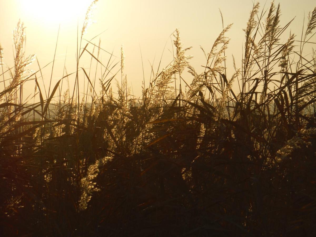 Pfahlbau Sunset I Toplage Elektroboot Inklusive Ruszt Kültér fotó
